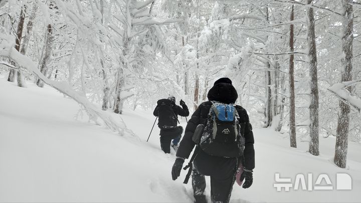 [제주=뉴시스] 한라산에 많은 눈이 쌓이면서 탐방로가 통제된 가운데 자원봉사자 등이 10일 관음사탐방로에서 러셀로 불리는 길트기 작업을 하고 있다. (사진=독자 제공) 2025.02.11. photo@newsis.com