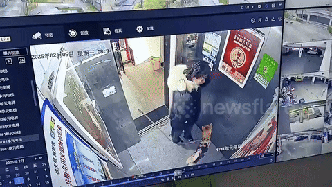 중국의 한 아파트 단지에서 엘리베이터 문에 애완견의 목줄이 끼는 사고가 있었다. (사진=docnhanh) *재판매 및 DB 금지