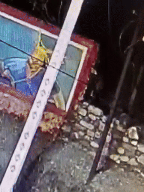 인도에서 자전거를 탄 우유 배달원과 표범이 충돌하는 사고가 발생했다. (사진=X 계정 @KapilShrimali)*재판매 및 DB 금지 *재판매 및 DB 금지