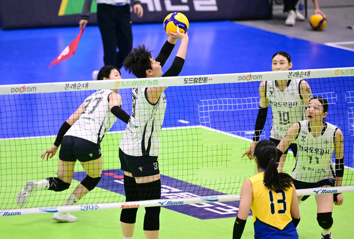 [서울=뉴시스] 프로배구 한국도로공사 김다은이 11일 수원체육관에서 열린 도드람 2024~2025 V-리그 여자부 현대건설과의 경기에서 토스를 시도하고 있다. (사진=KOVO 제공) 2025.02.11. *재판매 및 DB 금지