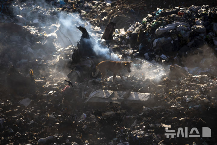 [가자시티=AP/뉴시스] 이스라엘은 이번 주 가자지구 휴전 2단계 협상을 시작할 것이라고 기드온 사르 이스라엘 외무장관이 18일(현지 시간) 발표했다. 사진은 지난 12일 가자지구 가자시티에서 개 한 마리가 쓰레기 더미를 뒤지고 있는 모습. 2025.02.19.