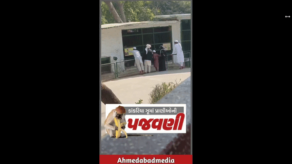 [서울=뉴시스] 인도 동물원에서 한 남성이 원숭이를 유인한 뒤 구타와 폭력 등 학대 사건이 발생해 논란이 일고 있다. (사진= 프리프레스저널 ) 2025.02.13. photo@newsis.com *재판매 및 DB 금지 *재판매 및 DB 금지