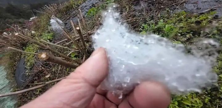 [서울=뉴시스]중국 쓰촨성 청두에서 설경을 즐길 수 있다고 홍보한 한 관광지가 솜뭉치와 비눗물로 '눈 마을'을 조성해 논란이 되고 있다.(사진=광명왕) *재판매 및 DB 금지