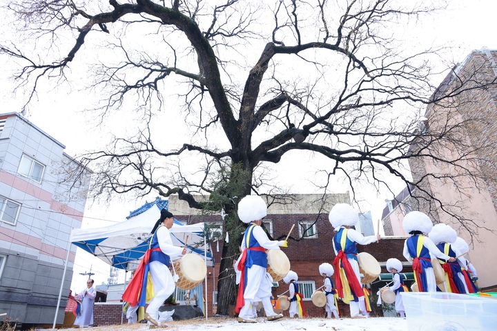 [대구=뉴시스] 천왕메기보존회가 대구 서구 평리3동 당산목공원에서 정월대보름 동제 행사를 개최했다. (사진=대구시 서구 제공) 2025.02.13. photo@newsis.com *재판매 및 DB 금지