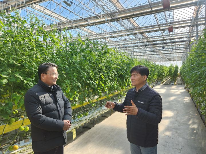 [세종=뉴시스]김병석 농촌진흥청 연구정책국장은 13일 전북특별자치도 익산시에 있는 빅데이터 분석‧환류 지능형 농장(스마트팜) 현장을 찾아 기술적 문제를 파악하고, 지원 방향을 논의했다. (사진=농진청 제공) *재판매 및 DB 금지