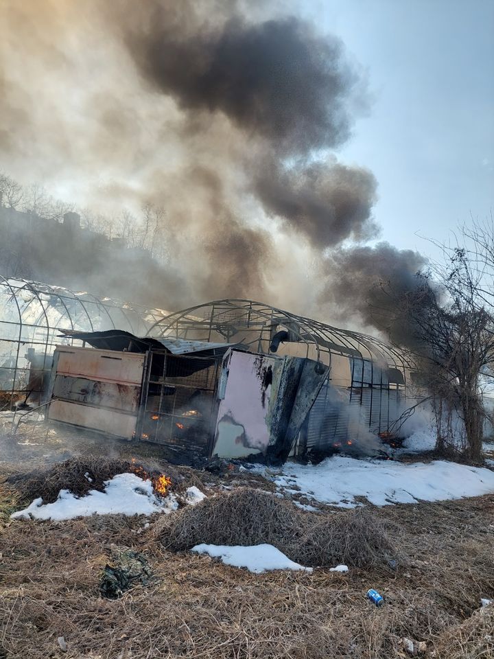 [안산=뉴시스] 14일 낮 12시55분께 경기 안산시 단원구의 한 농기계 보관 비닐하우스에 불이 나 60대가 숨졌다. (사진=경기도소방재난본부 제공) 2025.02.14. photo@newsis.com *재판매 및 DB 금지