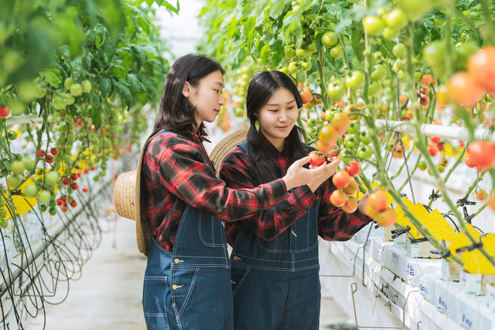 [세종=뉴시스]한국농수산대학교 학생들이 장기현장실습생·현장교수 사전교육을 받고 있다. (사진=한국농수산대학교 제공) *재판매 및 DB 금지