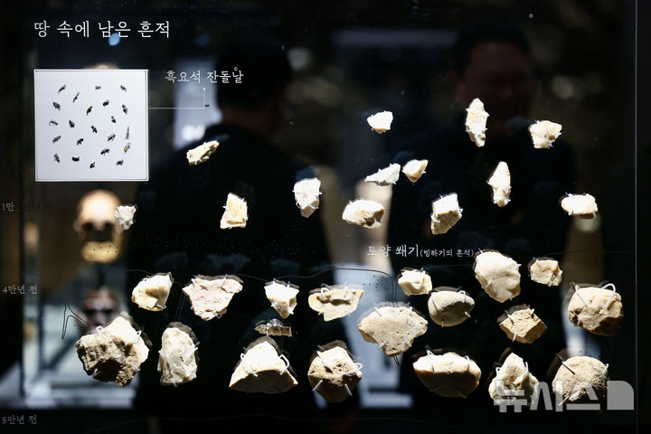 [서울=뉴시스] 김명년 기자 = 14일 오전 서울 용산구 국립중앙박물관에서 ‘선사 고대관 개편’ 언론공개회가 진행되고 있다. 국립중앙박물관은 1층 상설전시 중 구석기실, 신석기실, 청동기실, 고조선부여삼한실, 고구려실 개편하고 어린이를 위한 '배움 공간'도 조성했다. 2025.02.14. kmn@newsis.com