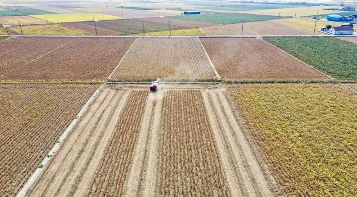 김제 논콩 재배지 (사진=동진지사 제공) *재판매 및 DB 금지