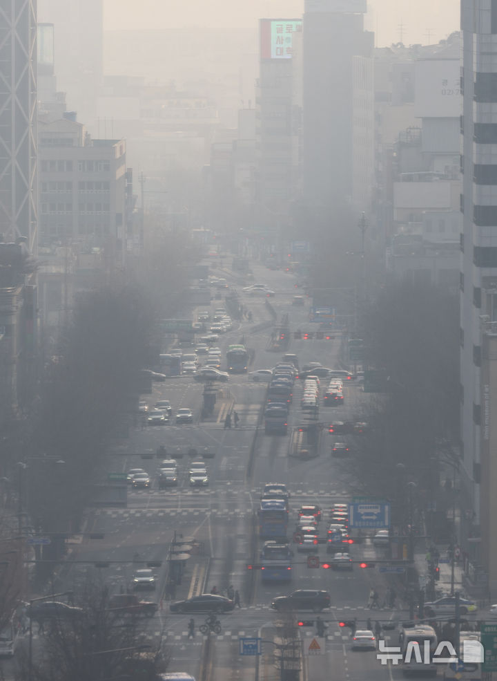 [서울=뉴시스] 황준선 기자 = 서울의 초미세먼지 농도가 '나쁨' 수준을 보인 지난 16일 서울 종로구 서울시교육청에서 바라본 도심이 뿌옇게 흐리다. 2025.02.16. hwang@newsis.com