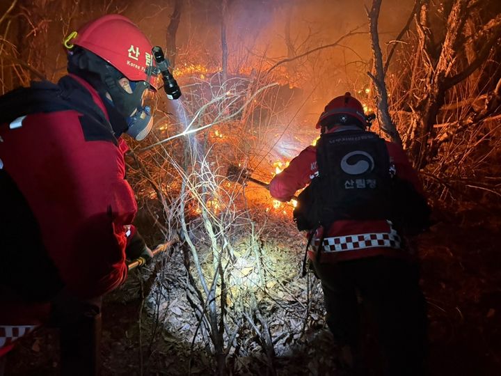 [양산=뉴시스] 양산시 원동면 용당리의 한 야산에서 불이 나 산불진화요원이 진화하고 있다. (사진=산림청 제공) 2025.02.17. photo@newsis.com *재판매 및 DB 금지