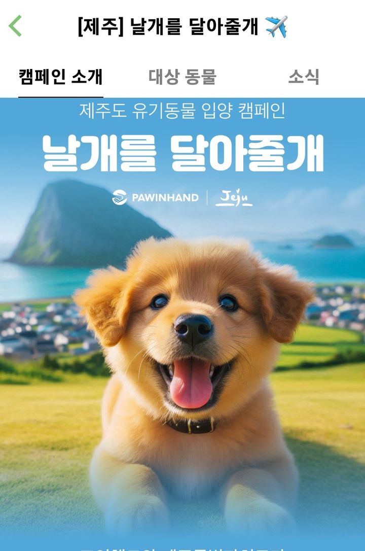 [제주=뉴시스] 제주도가 포인핸드와 협업으로 진행하는 유기동물 입양캠페인 화면. (사진=제주도 제공) photo@newsis.com *재판매 및 DB 금지