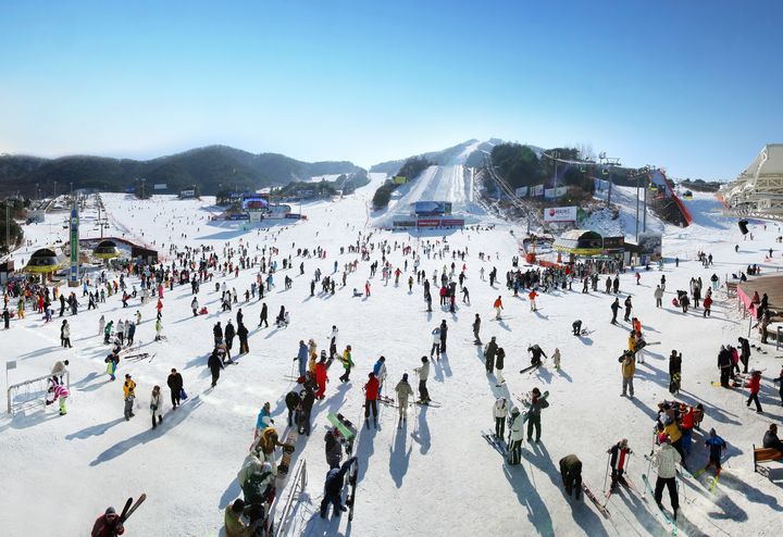 [횡성=뉴시스] 웰리힐리파크. (사진=뉴시스 DB). photo@newsis.com *재판매 및 DB 금지