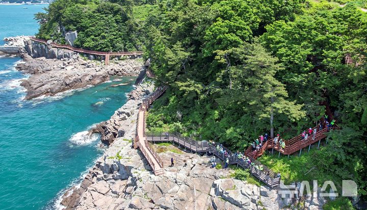 [남해=뉴시스]경남 남해군 미조면 조도섬의 섬 트레킹 코스.(사진=경남도 제공)