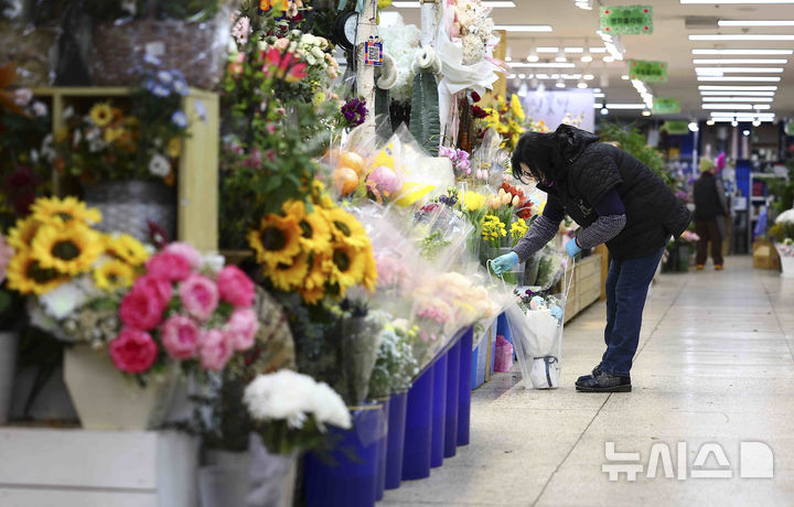[서울=뉴시스] 김근수 기자 = 졸업시즌을 맞아 18일 서울 서초구 양재꽃시장에서 한 상인이 꽃다발을 진열하고 있다. 한국농수산식품유통공사 화훼유통정보에 따르면 장미 한 단 평균 경매 가격은 1만2415원에 달했다. 이는 지난해 6894원에 비해 80% 이상 급등했다. 졸업식 특수를 기대했던 화훼업계와 상인들이 타격을 입게됐다. 2025.02.18. ks@newsis.com
