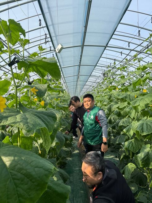 [공주=뉴시스] 원예특작분야 사업 관련 교육 모습.(사진=공주시 제공) 2025.02.19. photo@newsis.com&nbsp; *재판매 및 DB 금지