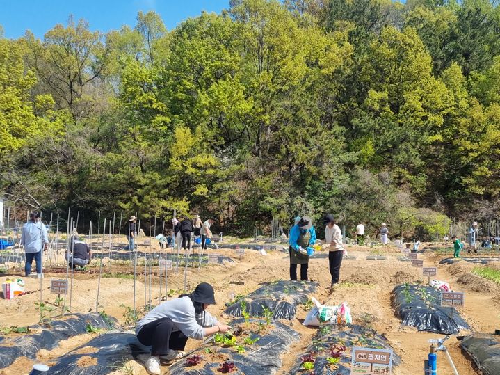 [창원=뉴시스] 강경국 기자 = 경남 창원시 공영텃밭에서 시민들이 농업 체험을 하고 있다. (사진=창원시청 제공). 2025.02.19. photo@newsis.com *재판매 및 DB 금지