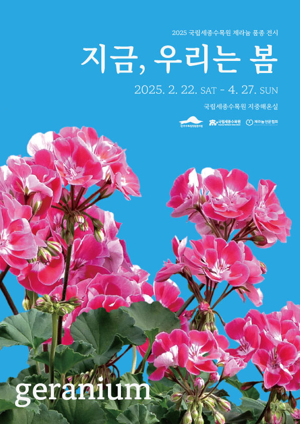 [대전=뉴시스] 국립세종수목원에서 22일부터 제라늄 전시회가 열린다.(사진=한국수목원정원관리원 제공) *재판매 및 DB 금지