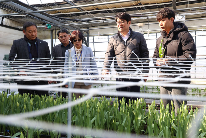 [세종=뉴시스] 권재한 농촌진흥청장은 19일 전북 완주군에 있는 화훼농장을 방문해 청년농업인 유입 확대와 안정 정착에 관한 현장 목소리를 들었다. (사진=농진청 제공) 2025.02.19. photo@newsis.com *재판매 및 DB 금지