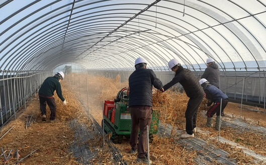 [고창=뉴시스] 고창군 지원단이 파견돼 농가의 영농부산물을 파쇄하고 있다. *재판매 및 DB 금지