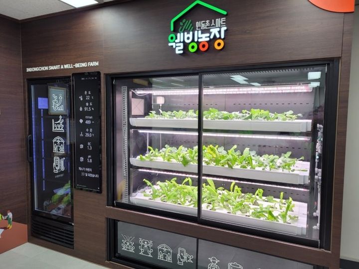 [대구=뉴시스] 대구 서구 비산2·3동에 있는 '인동촌 스마트 웰빙농장' 내부. (사진=대구시 서구 제공) 2025.02.19. photo@newsis.com *재판매 및 DB 금지