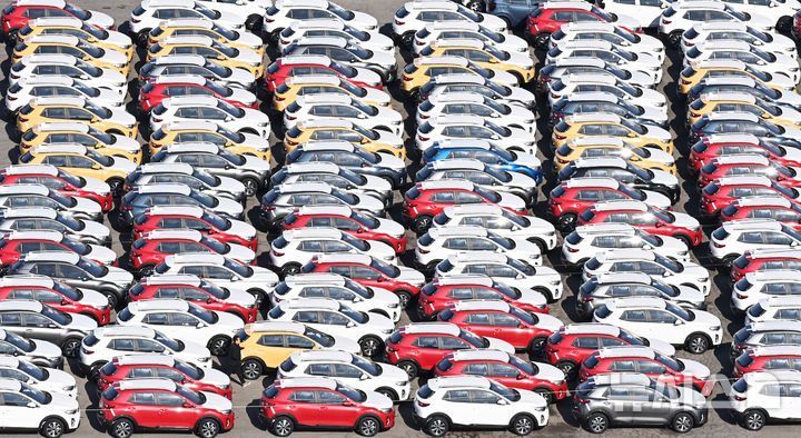 [평택=뉴시스] 김종택 기자 = 지난달 19일 경기도 평택시 포승읍 평택항 야적장에 수출용 자동차들이 세워져 있다. 2025.03.06. jtk@newsis.com