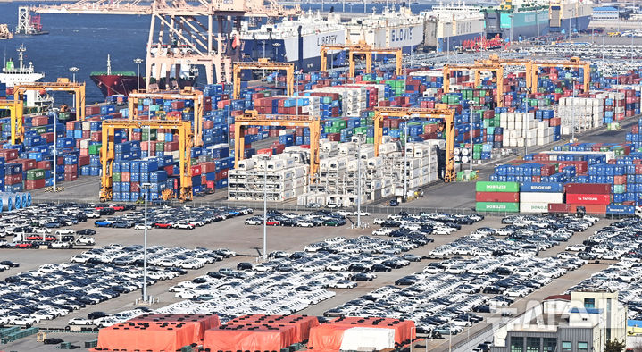 [평택=뉴시스] 김종택 기자 = 19일 경기도 평택시 포승읍 평택항 야적장에 수출용 자동차들이 세워져 있다. 2025.02.19. jtk@newsis.com