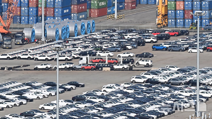 [평택=뉴시스] 김종택 기자 = 19일 경기도 평택시 포승읍 평택항 야적장에 수출용 자동차들이 세워져 있다. 2025.02.19. jtk@newsis.com