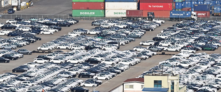 [평택=뉴시스] 김종택 기자 = 19일 경기도 평택시 포승읍 평택항 야적장에 수출용 자동차들이 세워져 있다. jtk@newsis.com