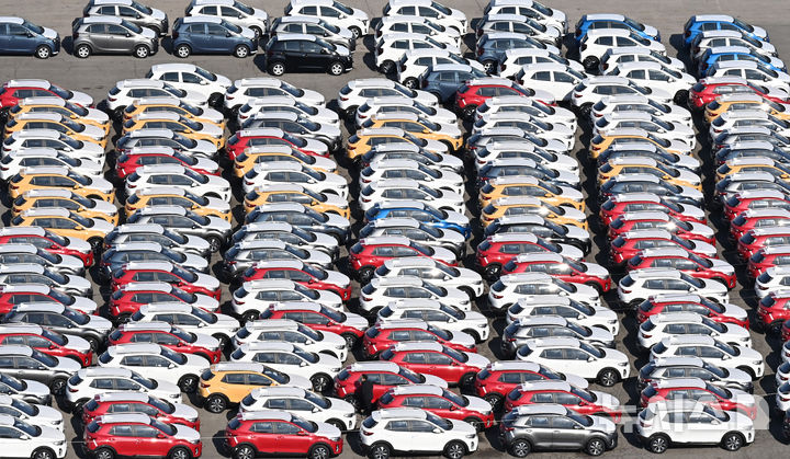 [평택=뉴시스] 김종택 기자 = 경기 평택시 포승읍 평택항 야적장에 수출용 자동차들이 세워져 있다. 2025.02.19. jtk@newsis.com