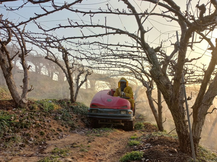 과수화상병 방제.(사진=뉴시스DB) *재판매 및 DB 금지