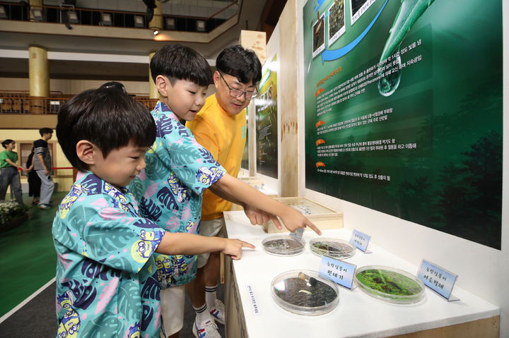 무주 반딧불축제 반닷불이 주재관 모습 *재판매 및 DB 금지