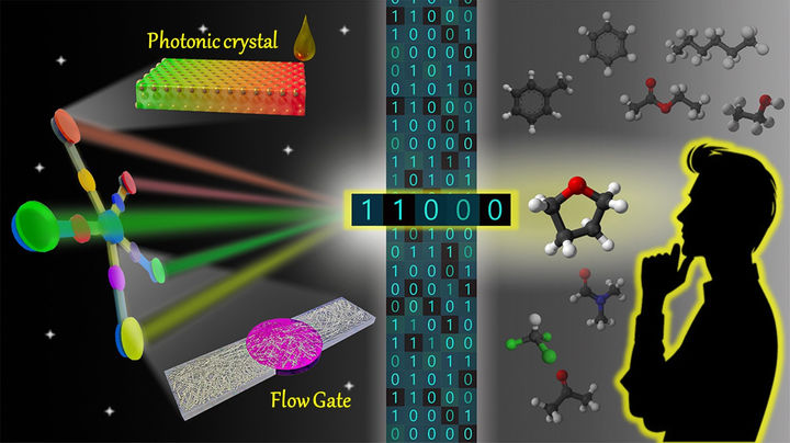 [광주=뉴시스] 전남대 정헌호 교수팀이 개발한 휘발성 유기용매 식별 기술 관련 그림. (그림 =전남대 제공). 2025.02.20. photo@newsis.com *재판매 및 DB 금지