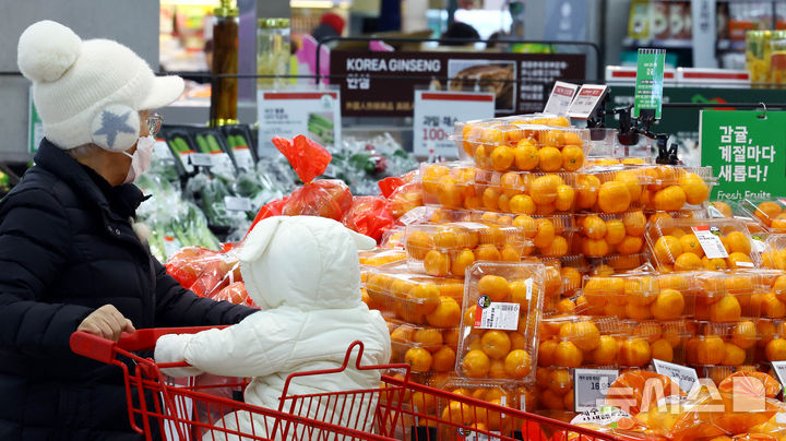 [서울=뉴시스] 박주성 기자 = 서울 한 대형 마트에서 시민이 감귤을 고르고 있다. 2025.02.21. park7691@newsis.com