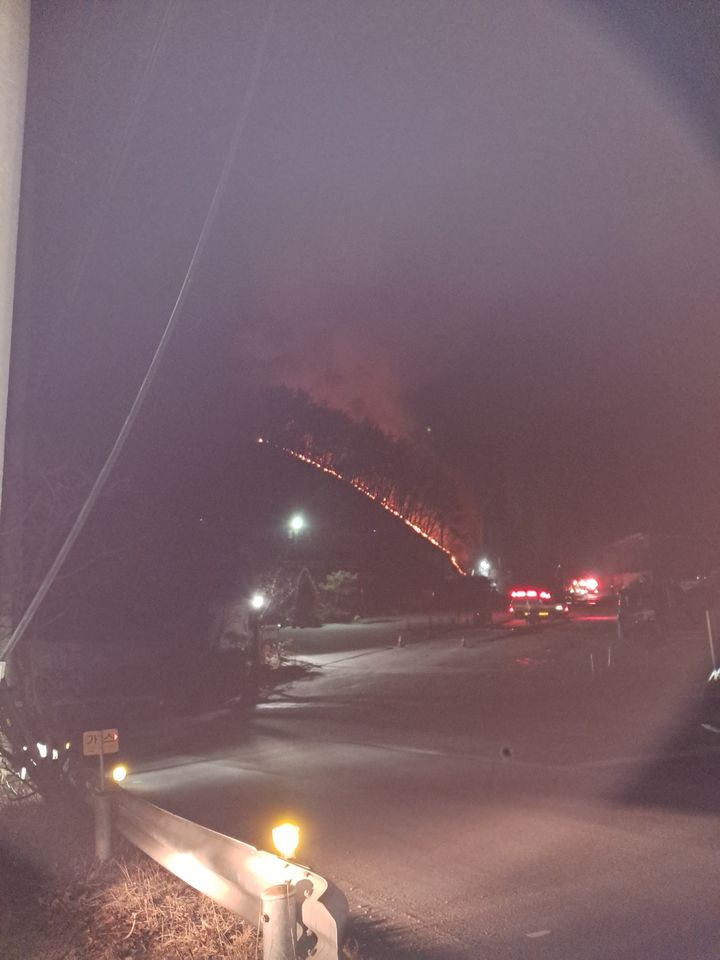 [울산=뉴시스] 지난 21일 오후 8시49분께 울산 울주군 삼동면 작동리의 한 야산에서 불이 나 1시간39분만에 모두 진화됐다. (사진=산림청 제공) 2025.02.22. photo@newsis.com *재판매 및 DB 금지