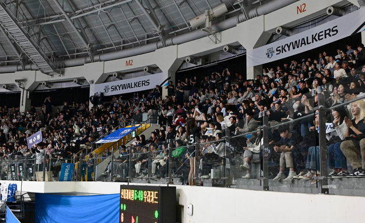 [서울=뉴시스] 프로배구 현대캐피탈 팬들이 22일 서울 장충체육관에서 열린 우리카드와의 도드람 2024~2025 V-리그 남자부 경기에서 열띤 응원을 보내고 있다. (사진=KOVO 제공) 2025.02.22. *재판매 및 DB 금지