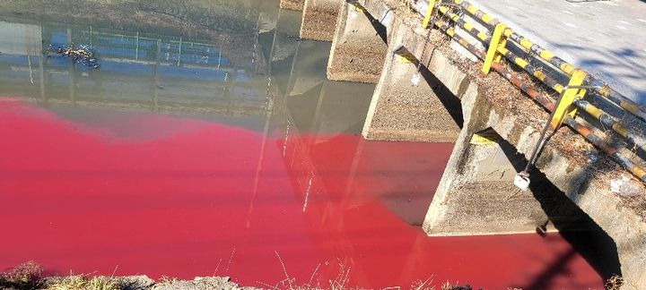 [대구=뉴시스] 24일 오후 2시30분께 대구 서구 염색산업단지 일대 공단천 하수관로에 연붉은빛을 띠는 폐수가 흐르고 있다. (사진=뉴시스 DB) photo@newsis.com *재판매 및 DB 금지