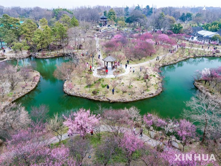 [양저우=신화/뉴시스] 24일(현지 시간) 중국 장쑤성 양저우의 서우시후 관광지에 봄꽃이 꽃망울을 터트리며 관광객을 맞고 있다. 2025.02.25.