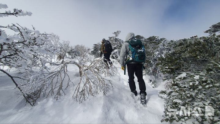 [제주=뉴시스] 한라산에 내린 폭설로 인해 정상인 백록담에 대한 출입통제가 장기화 되고 있다. 한라산국립공원 직원과 산악안전대원들이 길트기 작업을 하고 있으나 쌓인 눈이 얼어붙으면서 탐방객 안전에 위협이 되고 있다. (사진=제주도 제공) 2025.02.25. photo@newsis.com