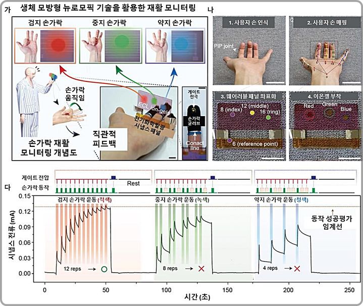 [대전=뉴시스] 뉴로모픽 기술 기반의 손가락 재활 모니터링 개념 및 구동 결과도.(사진=연세대학교 박철민 교수 제공)&nbsp; *재판매 및 DB 금지