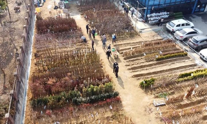 [정읍=뉴시스] 정읍산림조합 부지 내 나무시장. *재판매 및 DB 금지