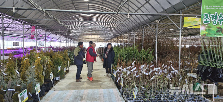 [광주=뉴시스] 산림조합중앙회 광주전남지역본부를 포함한 15개 지역 산림조합이 오는 4월15일까지 '봄철 나무전시·판매장'을 운영한다. 사진은 산림조합 광주전남본부 내 전시판매장. (사진=산림조합 광주전남본부 제공) 2025.02.25. photo@newsis.com 