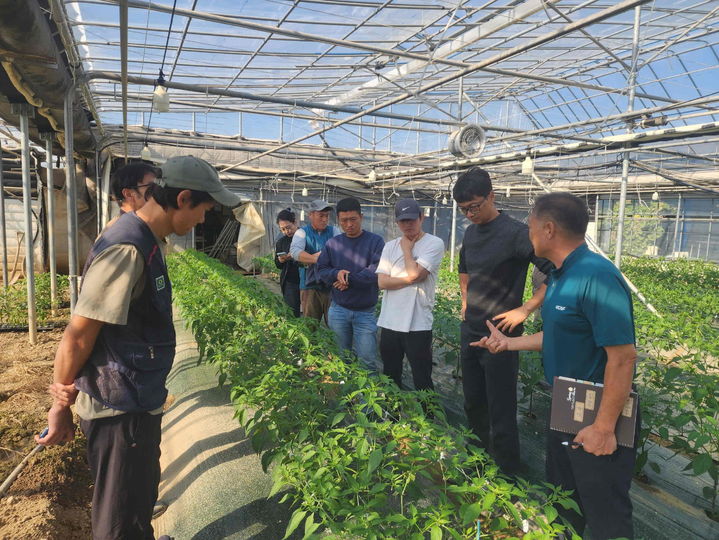 [밀양=뉴시스] 심상환 고추명장이 시설고추 교육생 농가를 방문해 현장 컨설팅을 하고 있다. (사진=밀양시 제공) 2025.02.26. photo@newsis.com *재판매 및 DB 금지