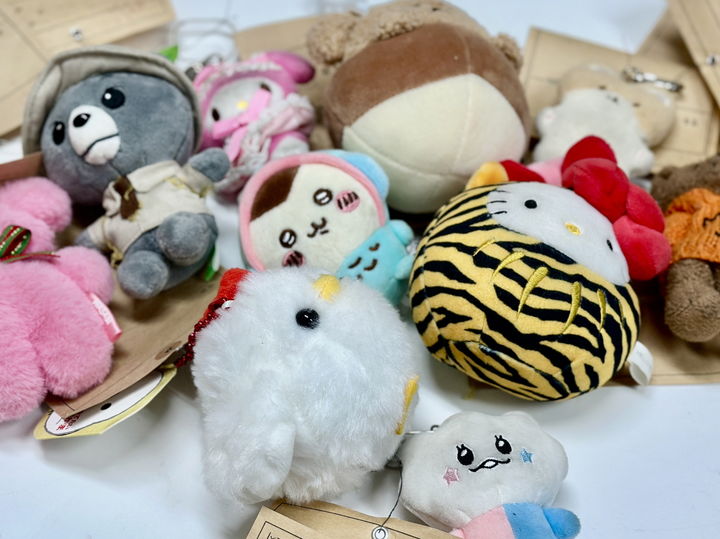 [서울=뉴시스] 인형 키링 유실물. 2025.02.27. (사진=서울교통공사 제공) *재판매 및 DB 금지