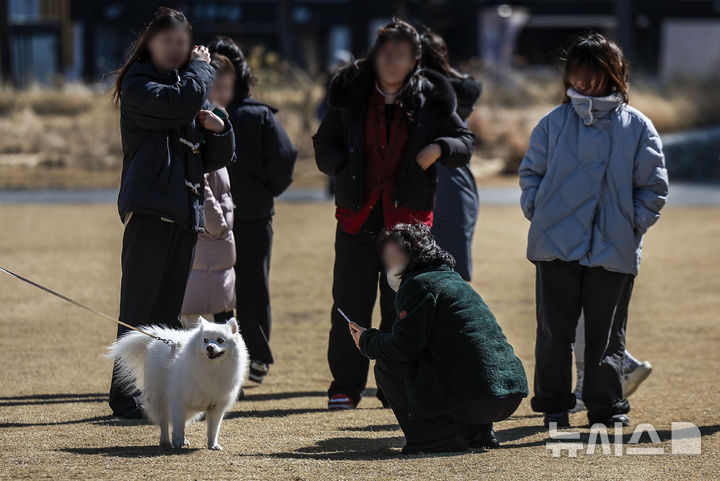 [서울=뉴시스] 정병혁 기자 = 포근한 날씨를 보인 전날 서울 종로구 열린송현공원에서 강아지가 사람들의 관심을 받고 있다. 2025.02.26. jhope@newsis.com