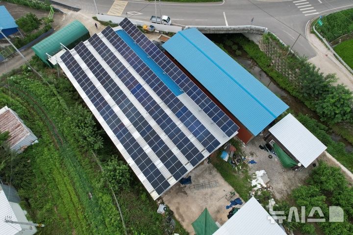 [용인=뉴시스] 태양광 시설(뉴시스 DB)photo@newsis.com
