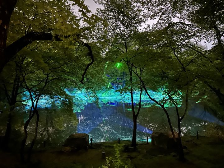 [서울=뉴시스] 창경궁 소춘당지 전경(물의 숨결) (사진=국가유산청 제공) 2025.02.27. photo@newsi.scom *재판매 및 DB 금지