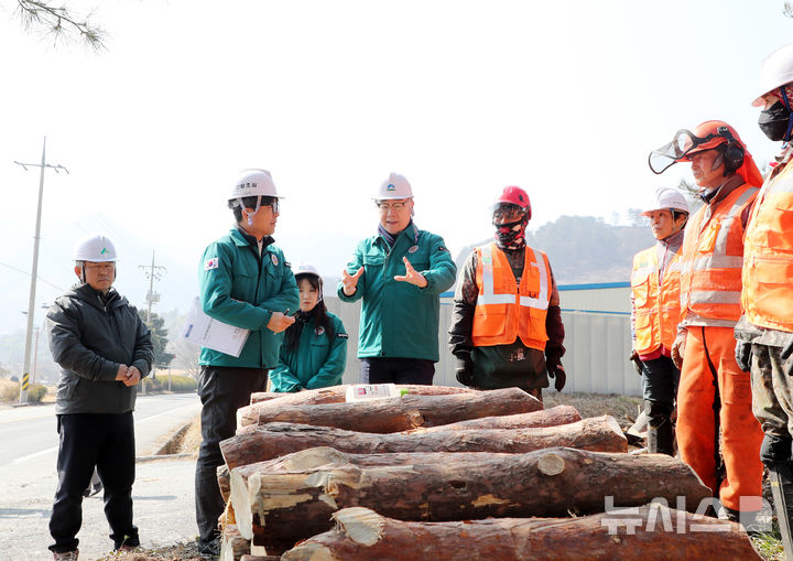 하동군, 소나무재선충병 방제 박차…59억원 예산 투입