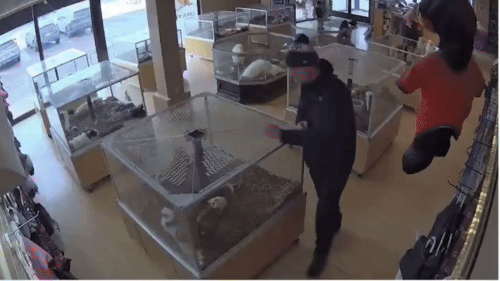 한 남성이 쓰러졌을 때 다른 남성은 강아지들을 꺼내들고 도주했다. (영상=뉴욕포스트) *재판매 및 DB 금지