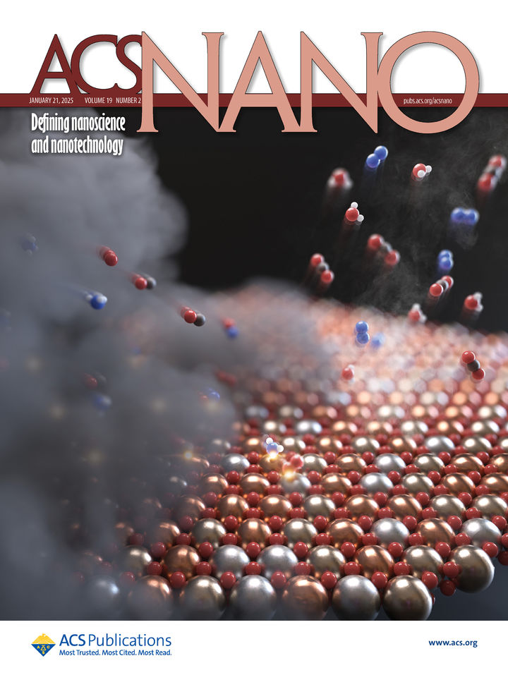 [울산=뉴시스] 촉매 표면에서 미세먼지 전구체가 반응하는 모습을 형상화한 나노과학 분야 저명 학술지 'ACS Nano' 표지 이미지. (사진=UNIST 제공) photo@newsis.com *재판매 및 DB 금지